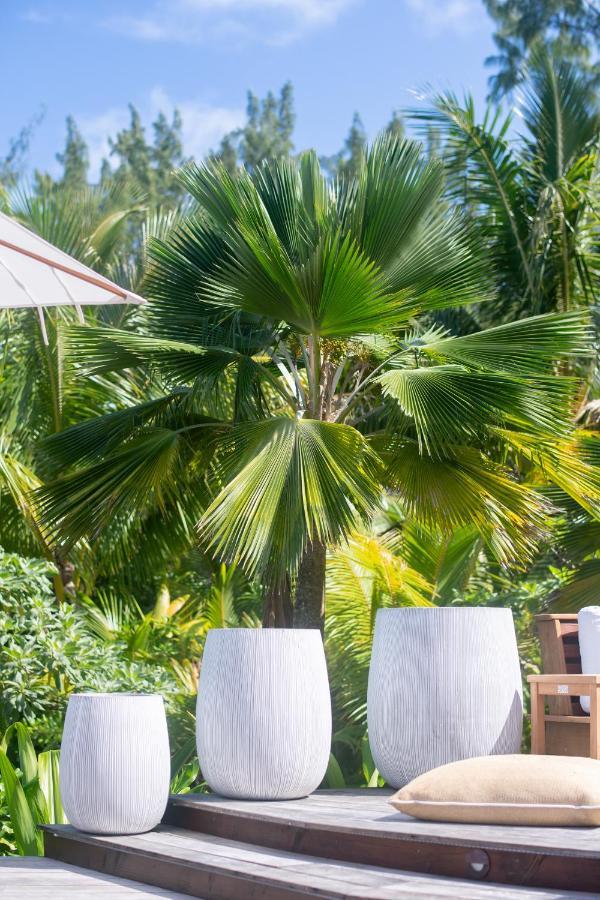 Motu Nao Nao Private Island Villa Opoa Bagian luar foto